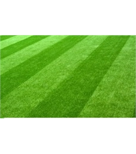 CỎ NHÂN TẠO SÂN BÓNG