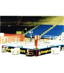 SÂN THI ĐẤU BOXING