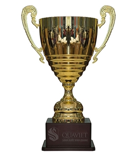 CÚP TRAO GIẢI MÃ 9V0109