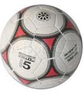 QUẢ BÓNG ĐÁ THĂNG LONG SỐ 5